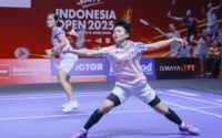 Bulu Tangkis Indonesia